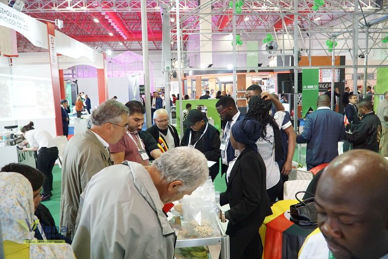 Exhibition floor